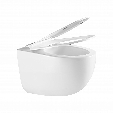 Подвесной унитаз безободковый Terminus Енисей Monolit 560х390 белый Кемерово - фото 7 Подвесной унитаз безободковый Terminus Енисей Monolit 560х390 белый Кемерово - фото 7