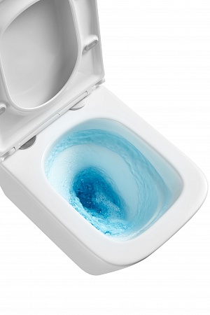 Подвесной унитаз безободковый Terminus Ватикан Monolit 490х340 белый Кемерово - фото 8 Подвесной унитаз безободковый Terminus Ватикан Monolit 490х340 белый Кемерово - фото 8