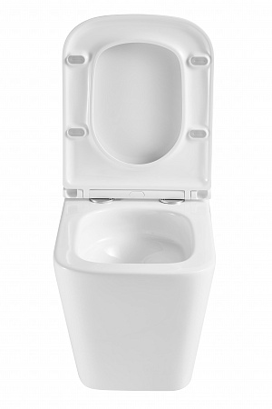 Подвесной унитаз безободковый Terminus Ватикан Monolit 490х340 белый Кемерово - фото 7 Подвесной унитаз безободковый Terminus Ватикан Monolit 490х340 белый Кемерово - фото 7