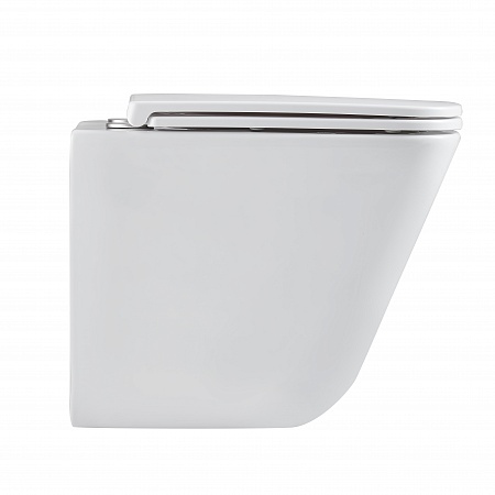 Подвесной унитаз безободковый Terminus Ватикан Monolit 490х340 белый Кемерово - фото 4 Подвесной унитаз безободковый Terminus Ватикан Monolit 490х340 белый Кемерово - фото 4