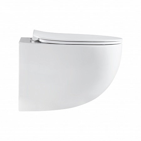 Подвесной унитаз безободковый Terminus Енисей Monolit 560х390 белый Кемерово - фото 4 Подвесной унитаз безободковый Terminus Енисей Monolit 560х390 белый Кемерово - фото 4