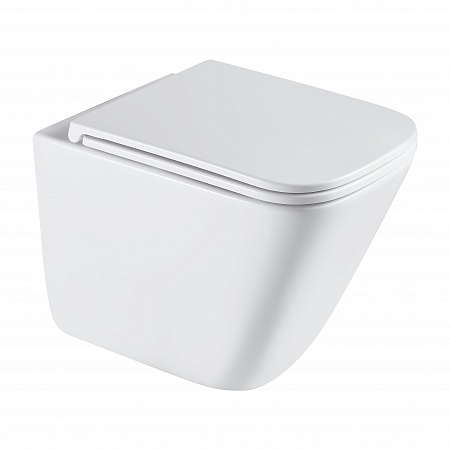 Подвесной унитаз безободковый Terminus Ватикан Monolit 490х340 белый Кемерово - фото 2 Подвесной унитаз безободковый Terminus Ватикан Monolit 490х340 белый Кемерово - фото 2