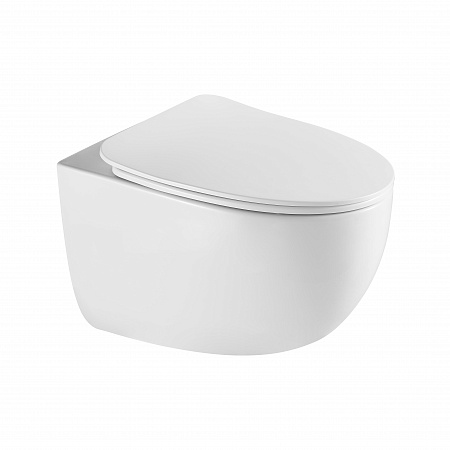 Подвесной унитаз безободковый Terminus Енисей Monolit 560х390 белый Кемерово - фото 2 Подвесной унитаз безободковый Terminus Енисей Monolit 560х390 белый Кемерово - фото 2