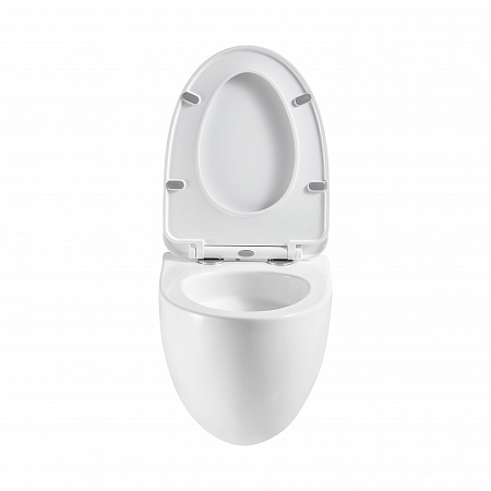 Подвесной унитаз безободковый Terminus Енисей Monolit 560х390 белый Кемерово - фото 5 Подвесной унитаз безободковый Terminus Енисей Monolit 560х390 белый Кемерово - фото 5