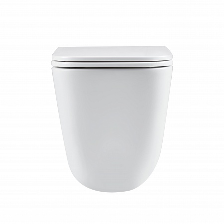 Подвесной унитаз безободковый Terminus Ватикан Monolit 490х340 белый Кемерово - фото 6 Подвесной унитаз безободковый Terminus Ватикан Monolit 490х340 белый Кемерово - фото 6