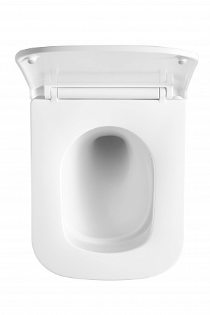 Подвесной унитаз безободковый Terminus Ватикан Monolit 490х340 белый Кемерово - фото 3 Подвесной унитаз безободковый Terminus Ватикан Monolit 490х340 белый Кемерово - фото 3